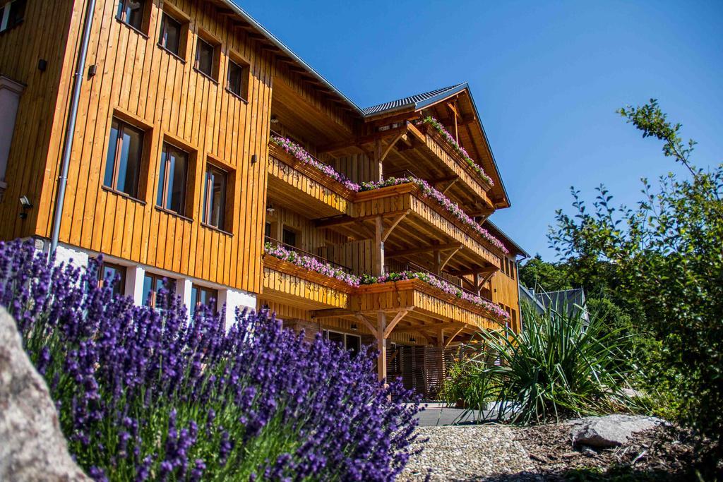 Les Gites D'Adelspach Gites & Spa En Alsace Aubure Exterior photo