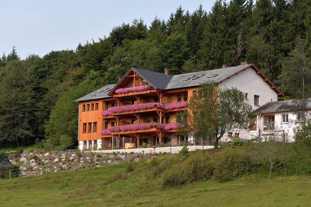 Les Gites D'Adelspach Gites & Spa En Alsace Aubure Exterior photo