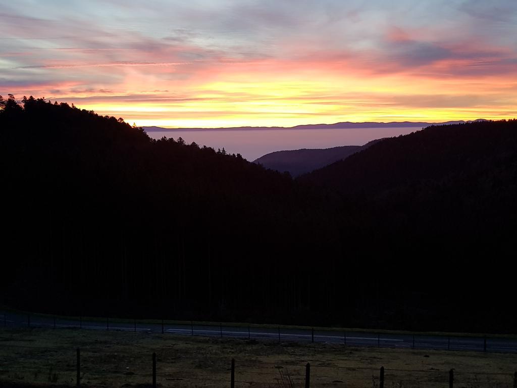 Les Gites D'Adelspach Gites & Spa En Alsace Aubure Exterior photo